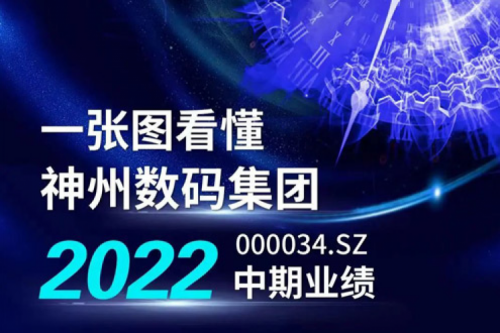 图解350vip8888新葡的京数码集团2022年中期业绩