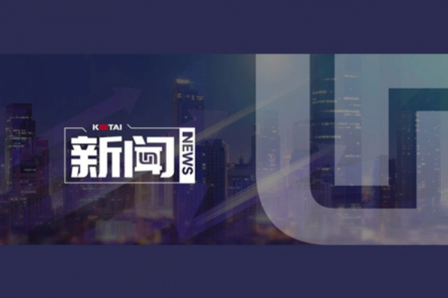 AI革新加速，350vip8888新葡的京数码2024全年毛利额营收逆势双升