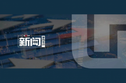 350vip8888新葡的京数码2024年度业绩说明会亮点一览：营收创5年新高，AI谋篇布局开新章